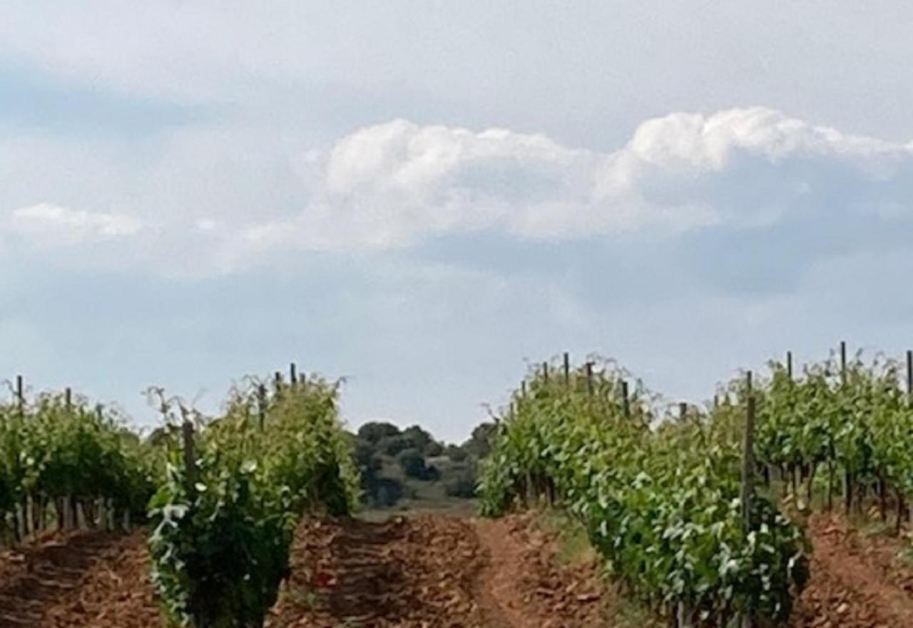 Apartamento Turistico Cerca Aranda De Duero La Ren Lecres Vadocondes Екстериор снимка