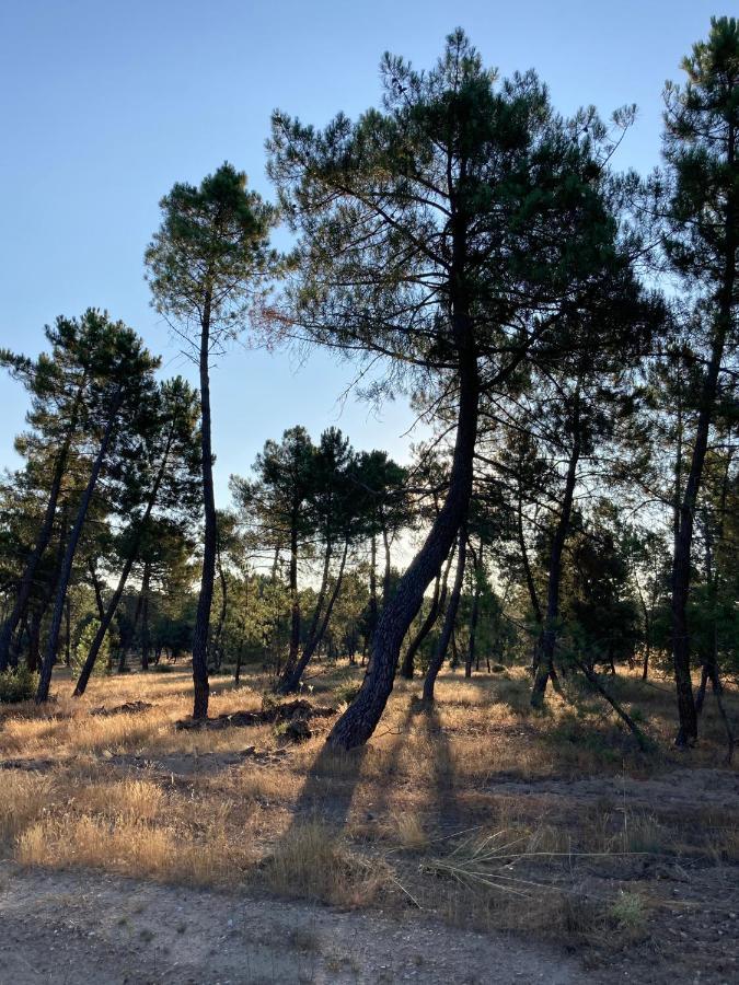 Apartamento Turistico Cerca Aranda De Duero La Ren Lecres Vadocondes Екстериор снимка